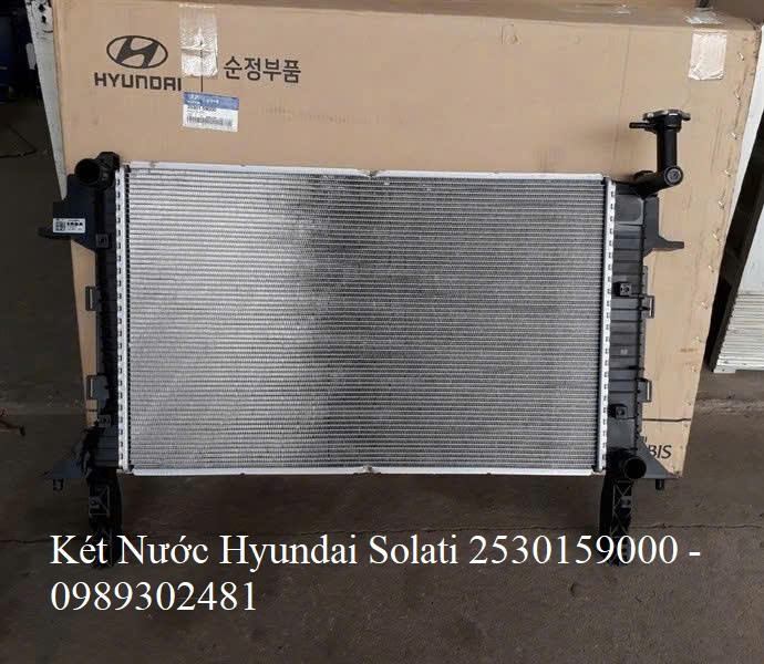 Két Nước Hyundai Solati 2530159000 